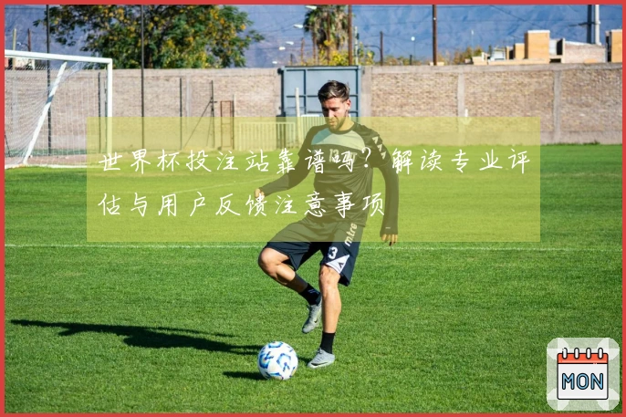 世界杯投注站靠谱吗？解读专业评估与用户反馈注意事项